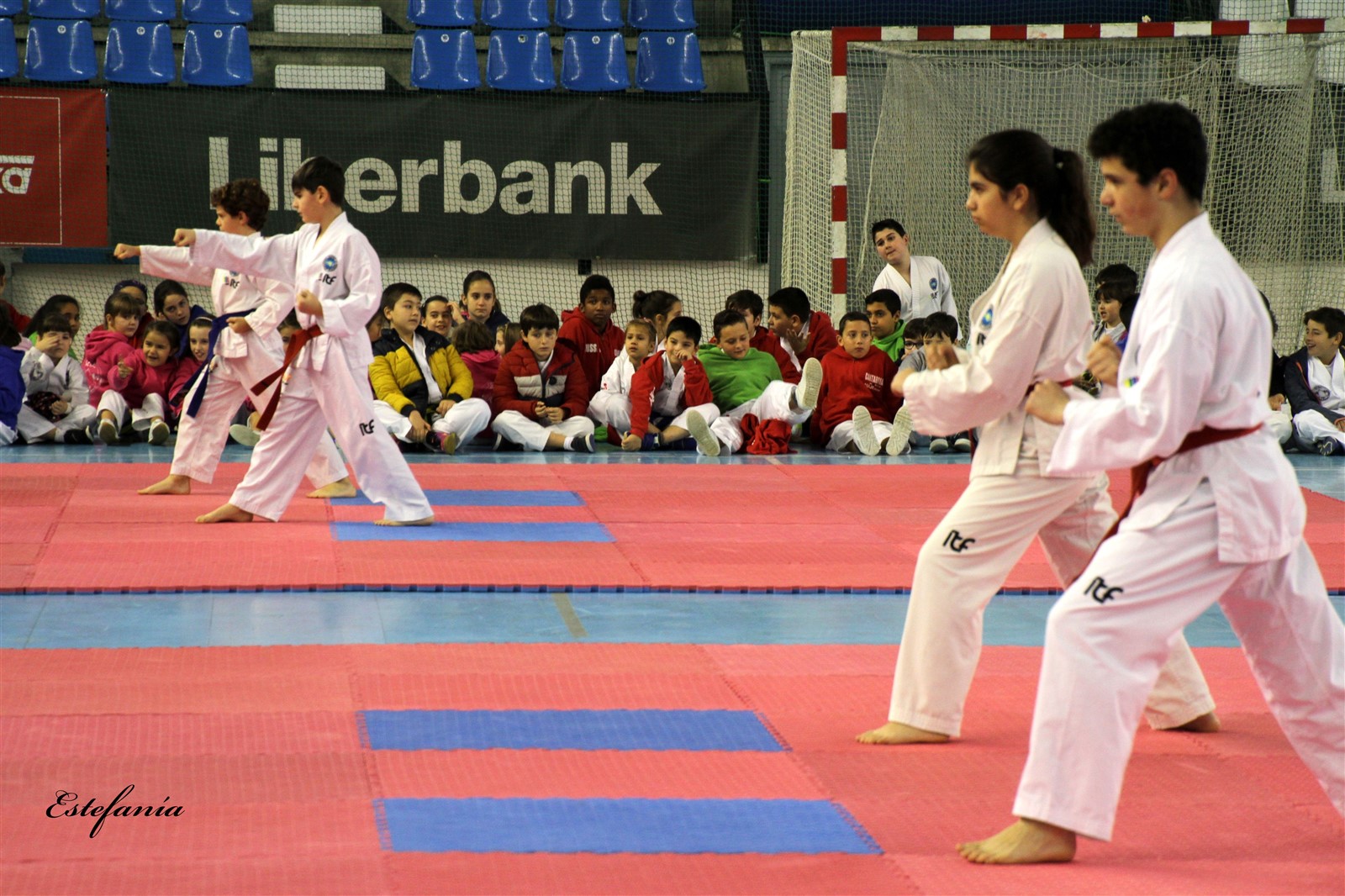 Taekwondo (179).jpg